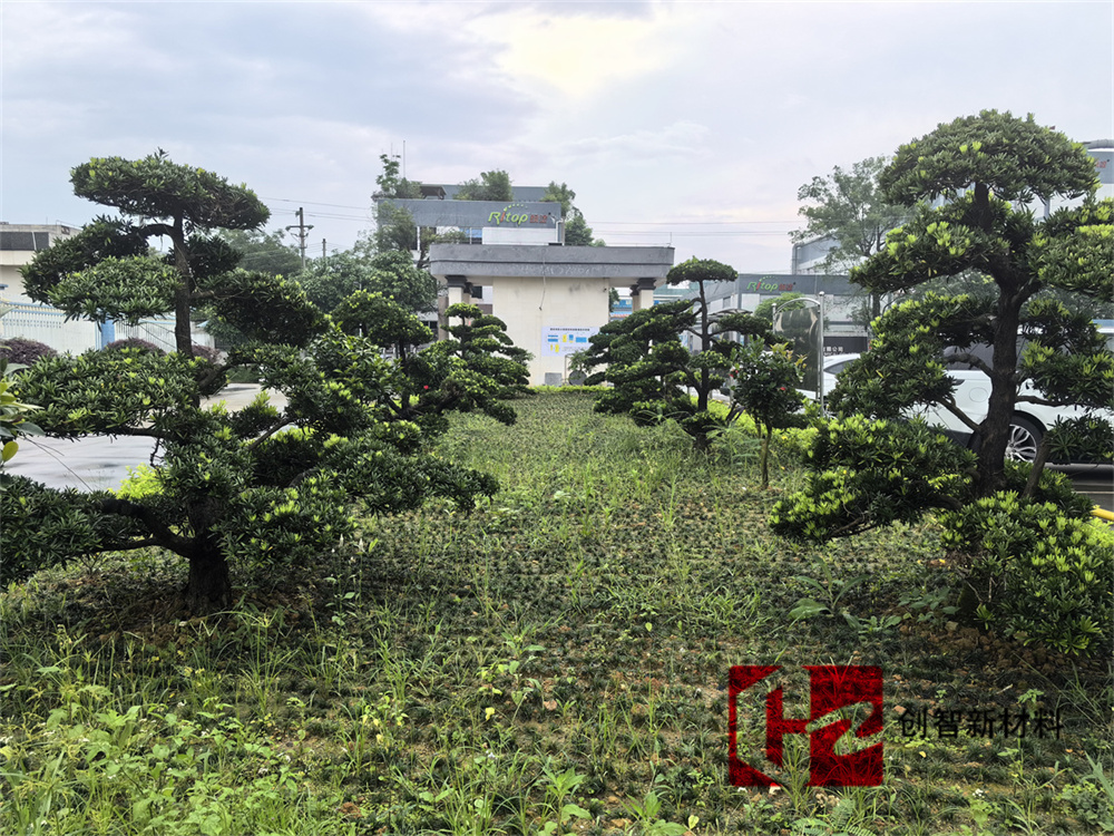 英德市创智新材料科技有限公司的办公环境(图8)